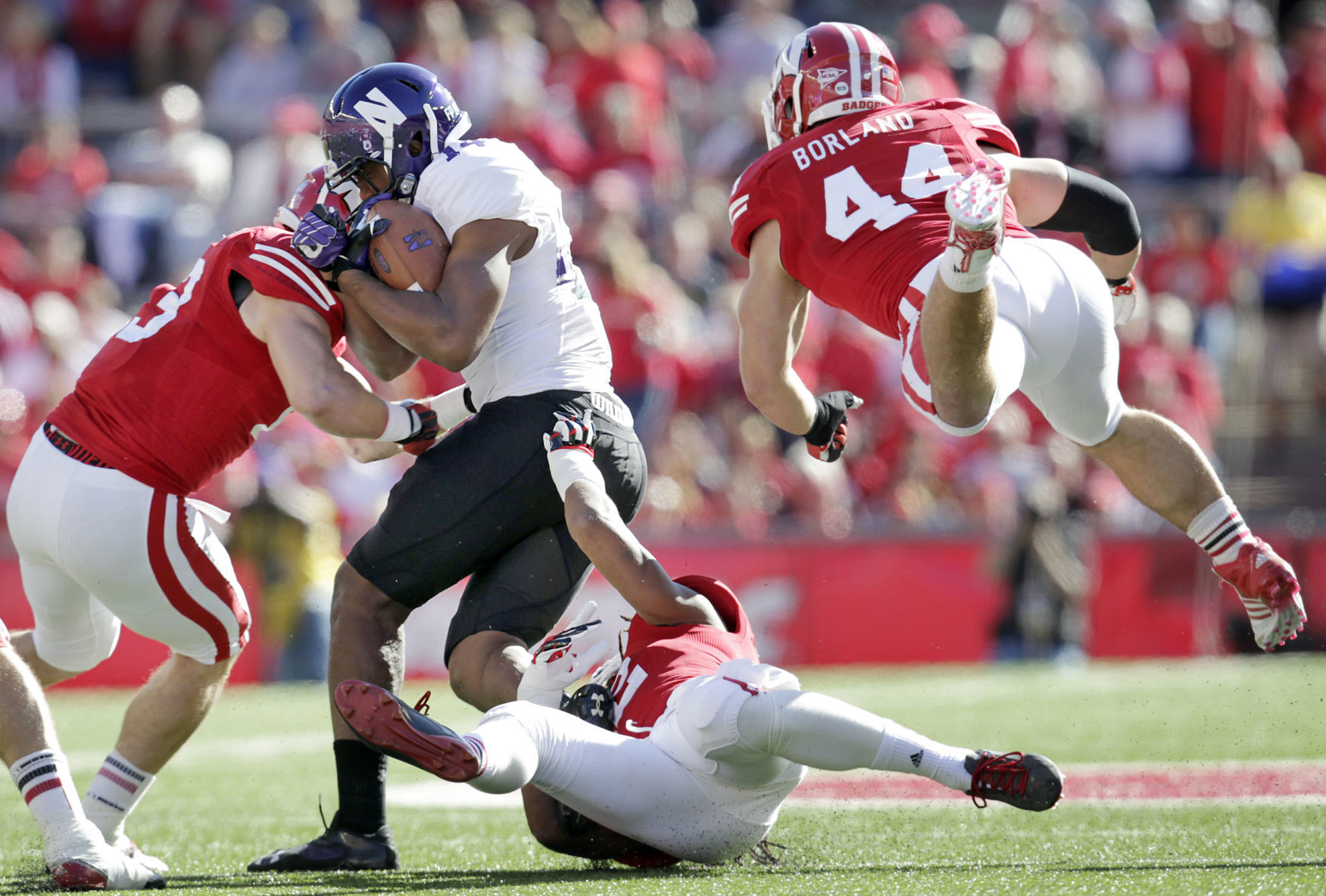 Chris Borland